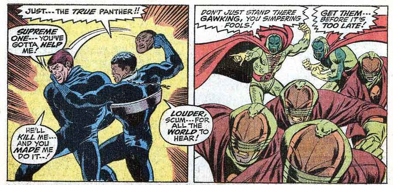 Illustration for article titled 8 Times Black Panther Was an Unbelievable Badass